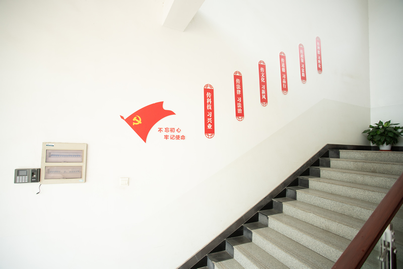 党建风采
