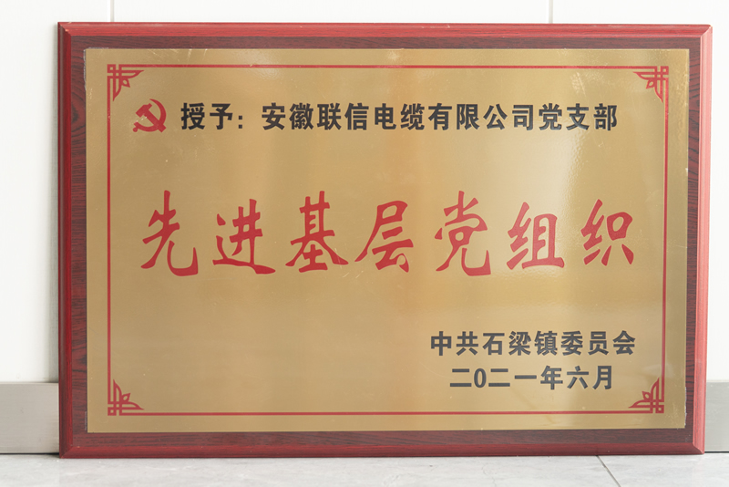 党建风采